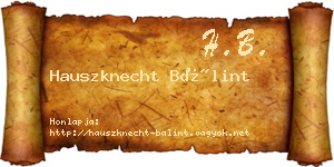 Hauszknecht Bálint névjegykártya